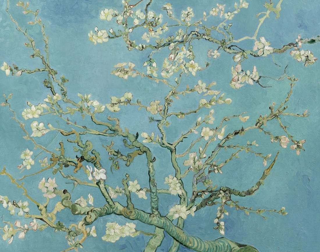 Vincent van Gogh