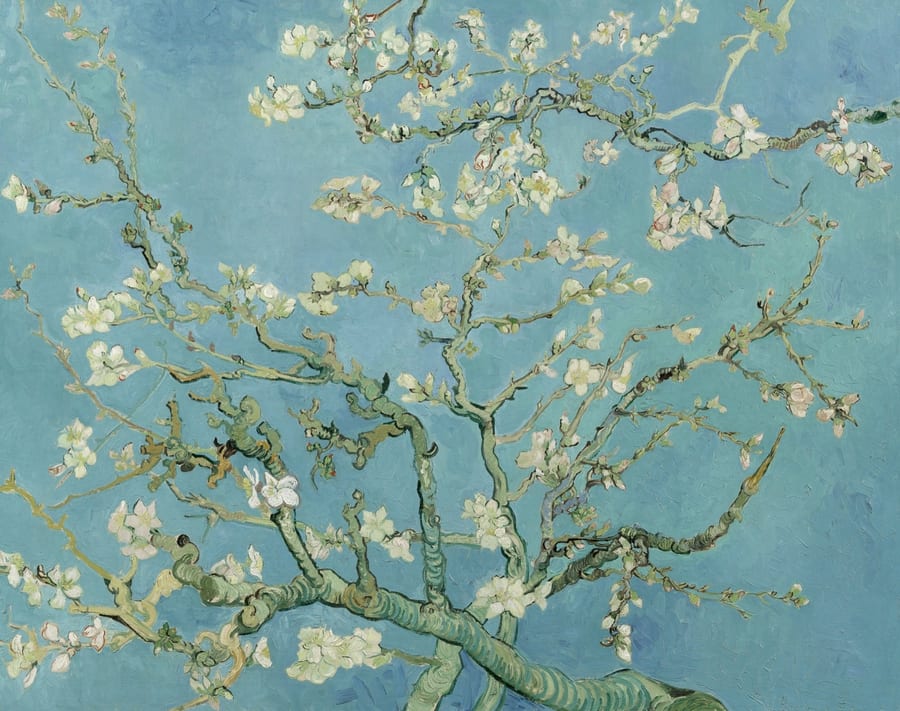 Vincent van Gogh